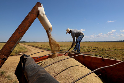Com tÃ©cnicas de geraÃ§Ãµes, Santa Isabel do IvaÃ­ lidera produtividade do arroz irrigado no ParanÃ¡